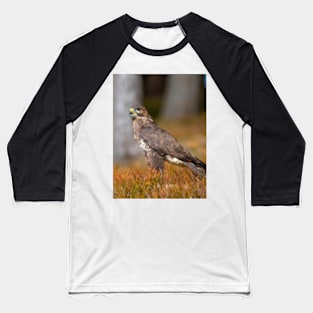 Common Buzzard Baseball T-Shirt